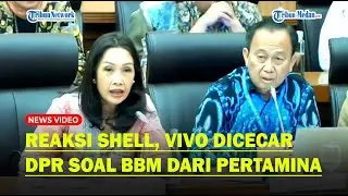 REAKSI SHELL, VIVO Dicecar DPR Soal Beli BBM Pertamina : Itu Oke Nggak?...
