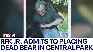 RFK Jr. admits to placing dead bear in Central Park