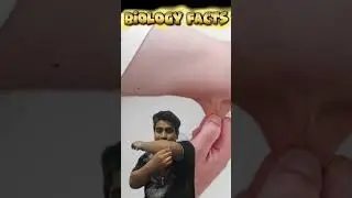 Biology Facts | Skin which doesn't hurt | Facts about Human Body #biologyfacts #shorts #ytshort