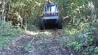 Gozdarstvo