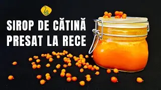 Trebuie sa prepari Si tu SIROP DE CATINA presat la rece - Beneficiile uimitoare ale catinei