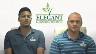 Elegant Landscaping and Design Rejuvenation Pruning