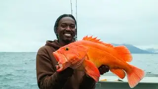 Traveling Deep Into Alaska&rsquo;s Wild Waters in Search of Unique Ocean Life