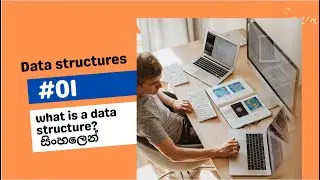 What is a Data structure?  in sinhala