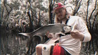 Canoe Fishing for Freshwater Tarpon and Snook on a backwoods Florida River!!