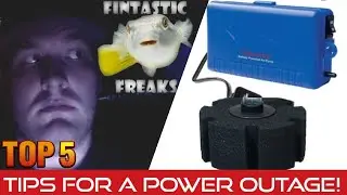 Top 5 Power Outage Tips! Getting Your Aquarium through a power outage!