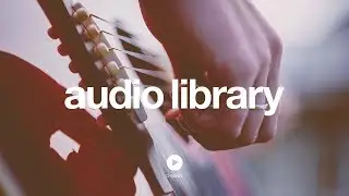 Octagon &ndash; Silent Partner (No Copyright Music)