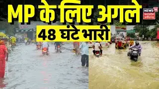 MP Flood Update : Madhya Pradesh के 16 जिलों में भारी बारिश का अलर्ट, अगले 48 घंटे भारी | Rain Alert