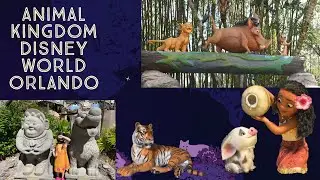 Animal Kingdom | Disney World Orlando | Wilderness Explorers