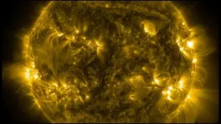 Solar Flare Watch, Animal Electric Sense, Sun-Like Superflare | S0 News Aug.19.2024