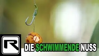 Mit Tigernuss auf Karpfen - Auftrieb f&uuml;r Bodenk&ouml;der