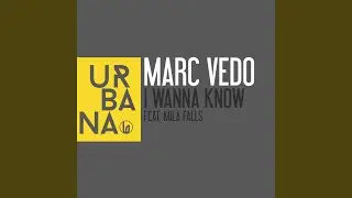 I Wanna Know (feat. Mila Falls) (David Penn Remix)