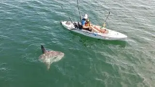 My Fishing Cape Cod Report - Tuesday September 24th
