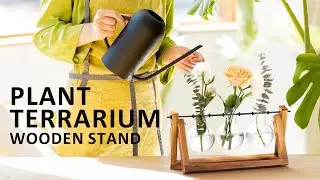 XXXFLOWER Plant Terrarium with Wooden Stand, Air Planter Bulb Glass Vase