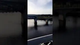 Traveling To Tennessee Walnut Street Bridge | সেতু  #shorts #bridge #tennessee #explore #bangladesh