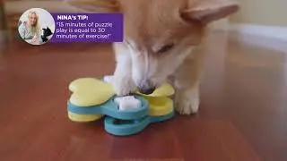 Nina Ottosson Dog Tornado Treat Puzzle Toy by Outward Hound