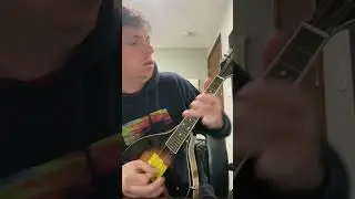 Mandolin Metallica 