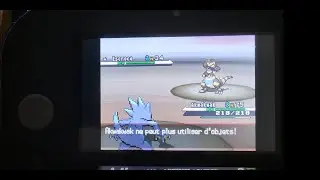 Escroco shiny | Pok&eacute;mon Blanc | (full odds) [RE-UPLOAD]