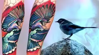BEST BIRDS TATTOOS!! MIND BLOWING CONTEMPORARY WORK BY IVANA TATTOO ART