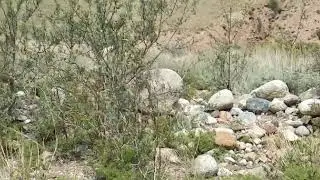 hike to Merzbacher Lake 2018 VID 20180712 113144