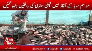 Fish Demand Rises As Winter Approaching |AbbTakk