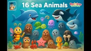Submarine Adventure: 16 Sea Animals + Free Coloring Pack
