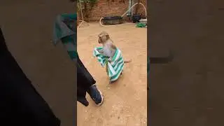 shally follow mom baby 🐥🥰