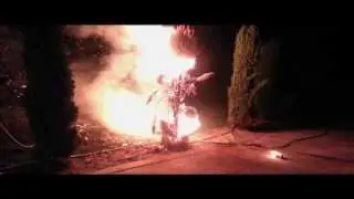 Fire Soccer Burns Cypress Tree!!!!!