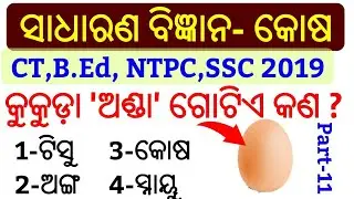 CT & B.ED Science Questions !! P-11 !! Odia General Science Questions Answer