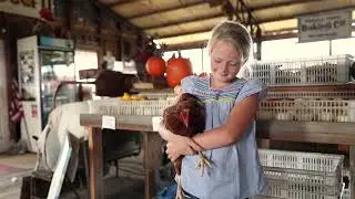 Customer Story: Miracle Farms Market - Farm Credit of Western Arkansas