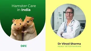 Hamster Care in India | Dr. Vinod Sharma