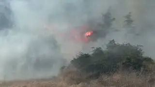 Wind-Driven Fire Takes Off In Pacheco Sunday