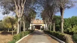 Finca en avenida de Utrera. A 50 m2 de mangalarga.
