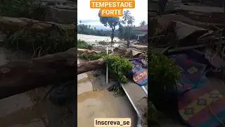 VEJA O QUE UMA RAJADA DE VENTO FORTE FEZ COM &Agrave;S &Aacute;RVORES AQUI EM SUDAH JADAI NCIG ONTEM.