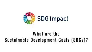 What are the Sustainable Development Goals (SDGs)?