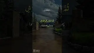 tumara parwardigar to Allah hi hai🫀🤲🏽 #allahhu #love #alahazratkalambyowaisrazaqadri