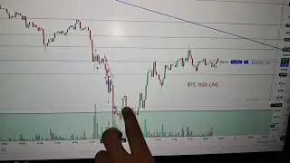 BTC  USD Live  | Price Action Chart Pattern Reading Candlestick free #btc #livestream