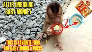 Make baby monkey's favorite food 🐒🐒 #monkey #babymonkey #monkey scared #scaredmonkey #unboxingmonkey