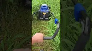 We Answered the Question; Gas or Electric Mower #mower #battery #power #tools #diy #howto #fails
