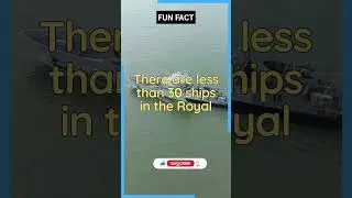 There are less than 30 ships in the Royal Canadian Navy #youtuber #youtubeshorts #shorts