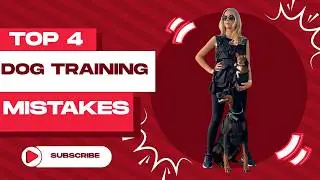 TOP 4 TRAINING MISTAKES DOG OWNERS MAKE