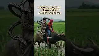 Filmowanie na polach ryżowych #zakulisy #film #satysfakcjonujący #kr&oacute;tkiefilmy #sztuczna intelige...
