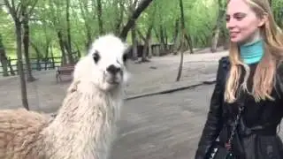 EXISTAGRAM Настя Эйприл и Лама играют в прятки