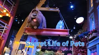 Secret Life of Pets in Universal Studio Hollywood. #secretlifeofpet #universalstudio #Hollywood