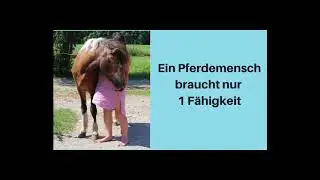 Ein Pferdemensch braucht nur 1 F&auml;higkeit