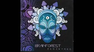 Brainforest - Astrology
