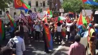 2014 ERITREAN INDEPENDENCE