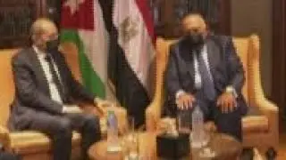 Egypt's, Jordan's foreign ministers meet in Cairo