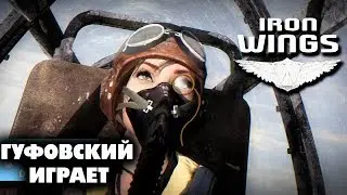 Гуфовский играет в Iron Wings (самые интересные моменты)