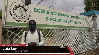 ENSA : ETAT DES LIEUX